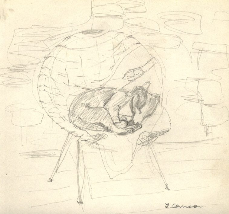 Drawing of a dog asleep in a 1960's chair.